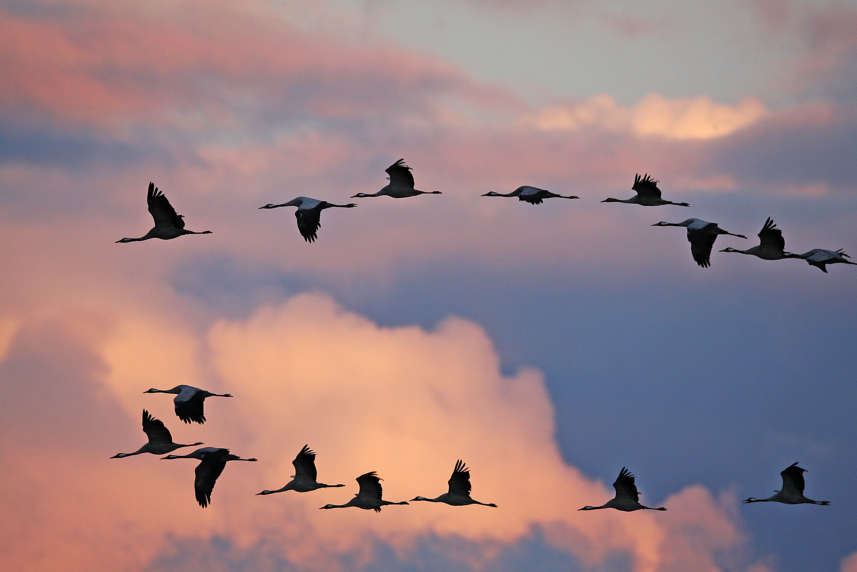 Bild: Michael von Lüttwitz