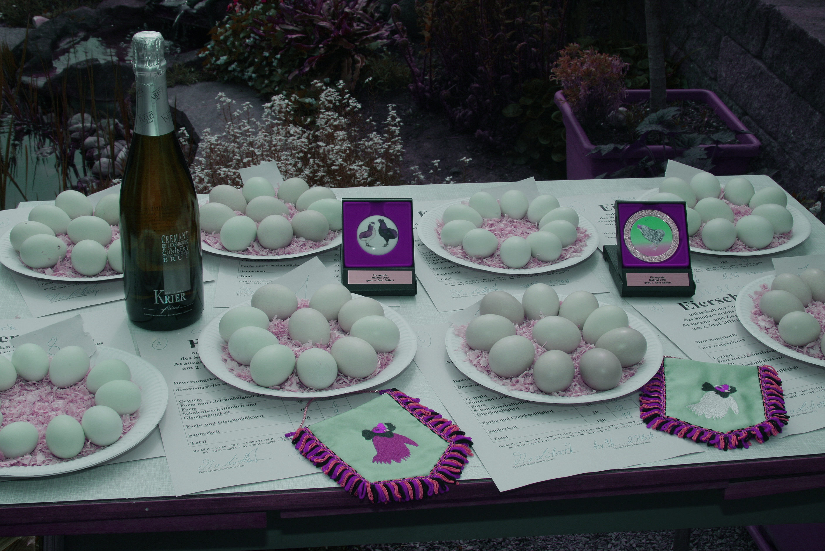 Bild: Michael von Lüttwitz