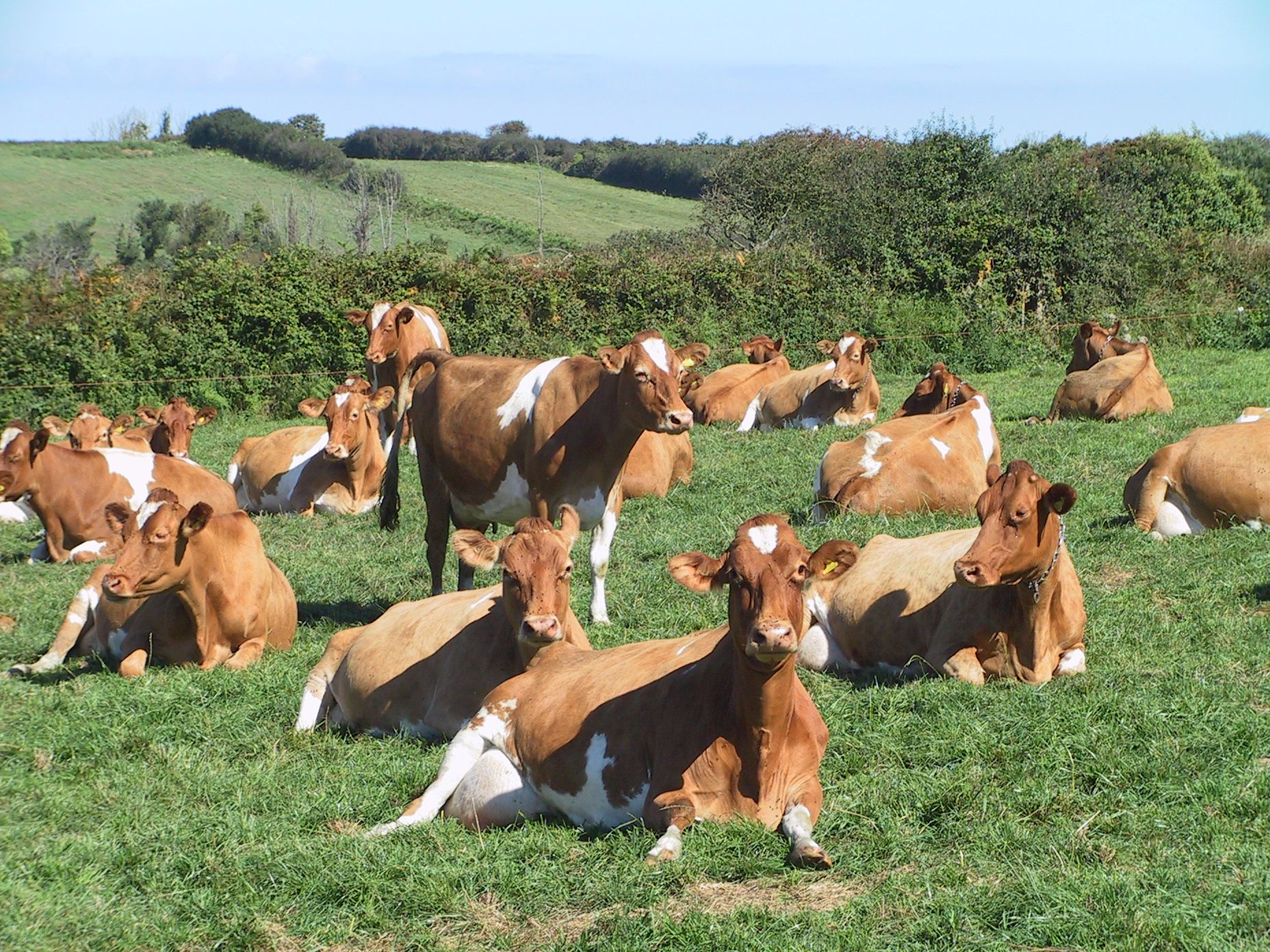 Bild: Michael von Lüttwitz