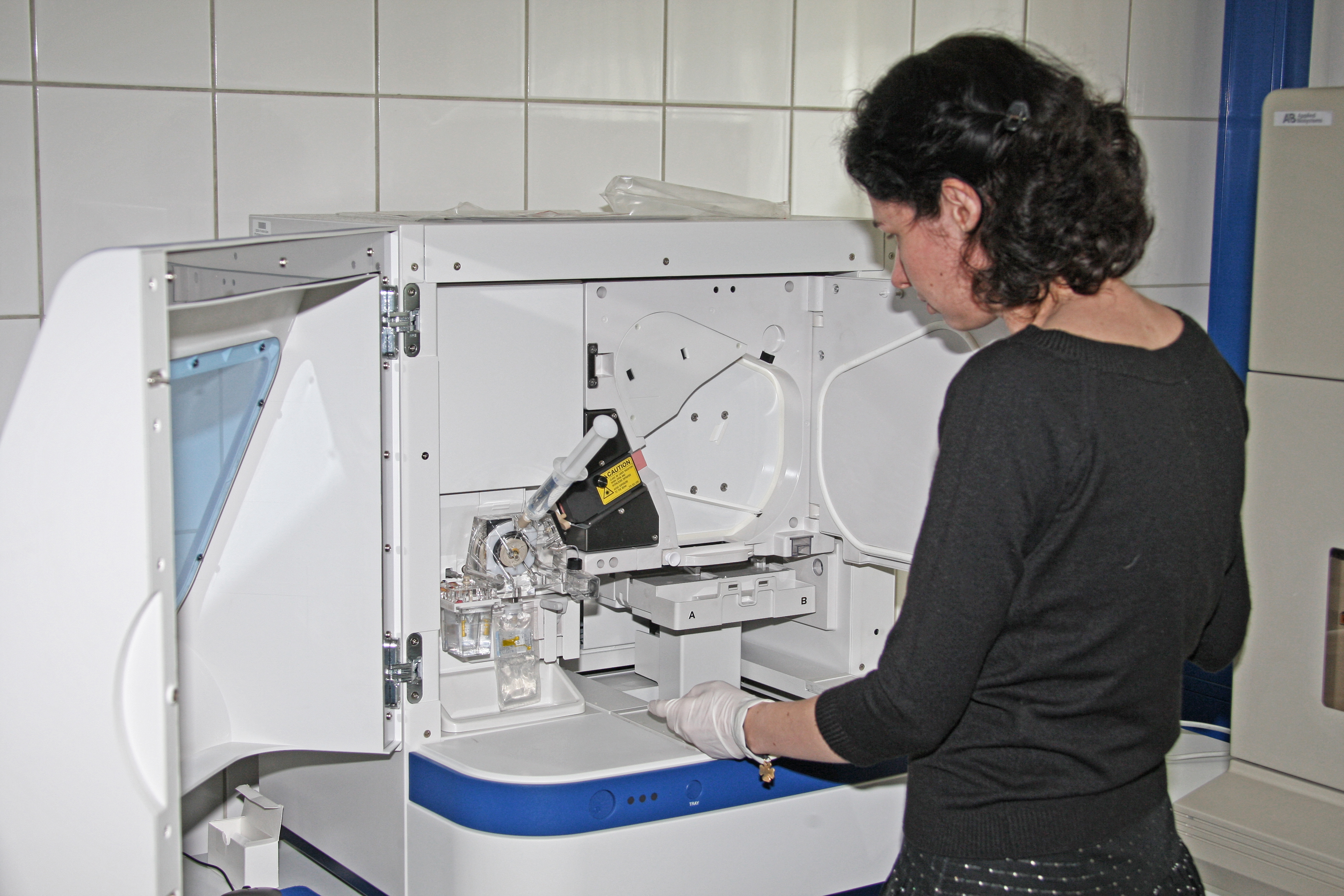 Bild: Michael von Lüttwitz