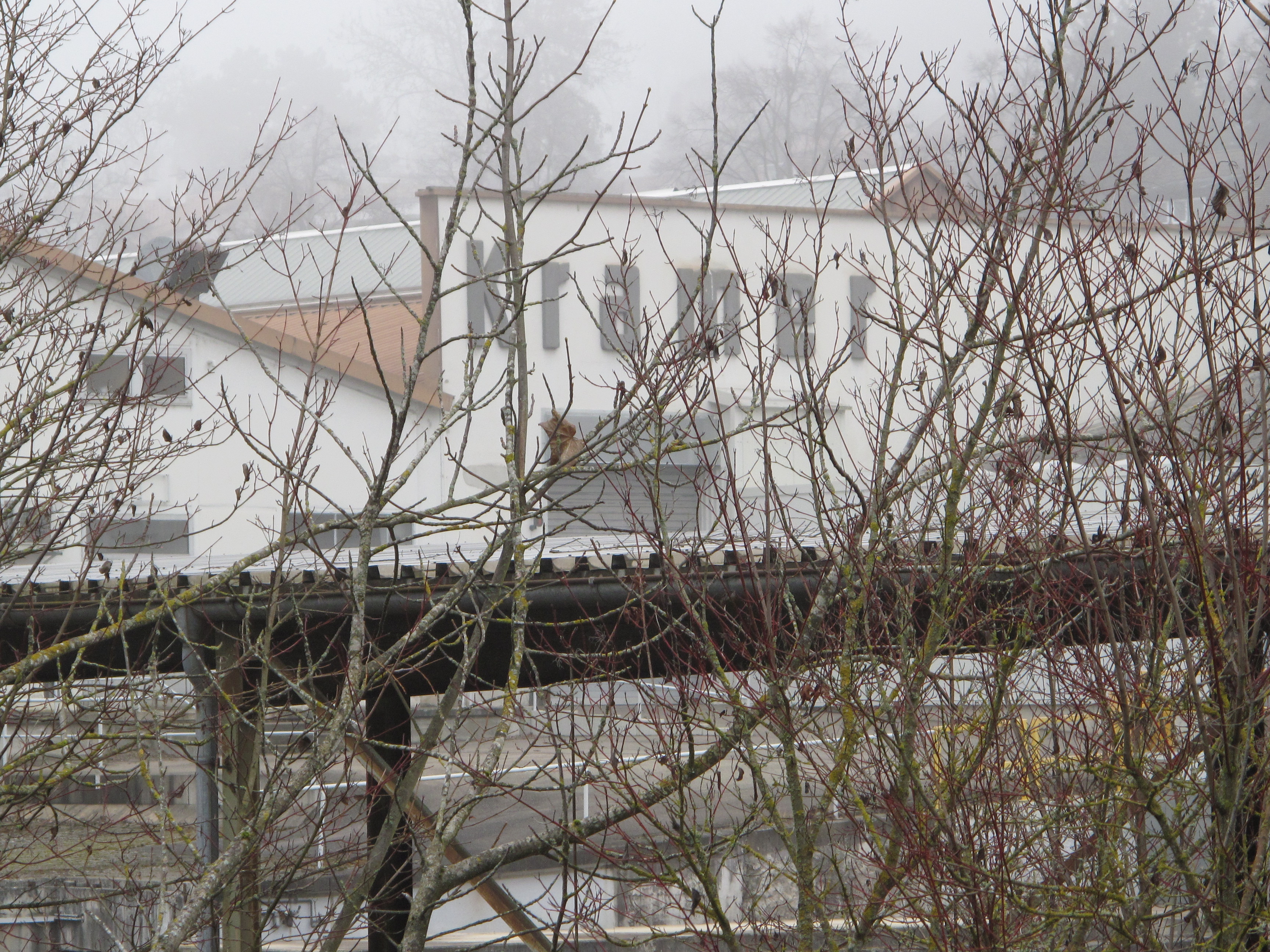 Städtebauvertrag, Blumen und Musensympathie- der Überlinger Gemeinderat vom 8. Februar