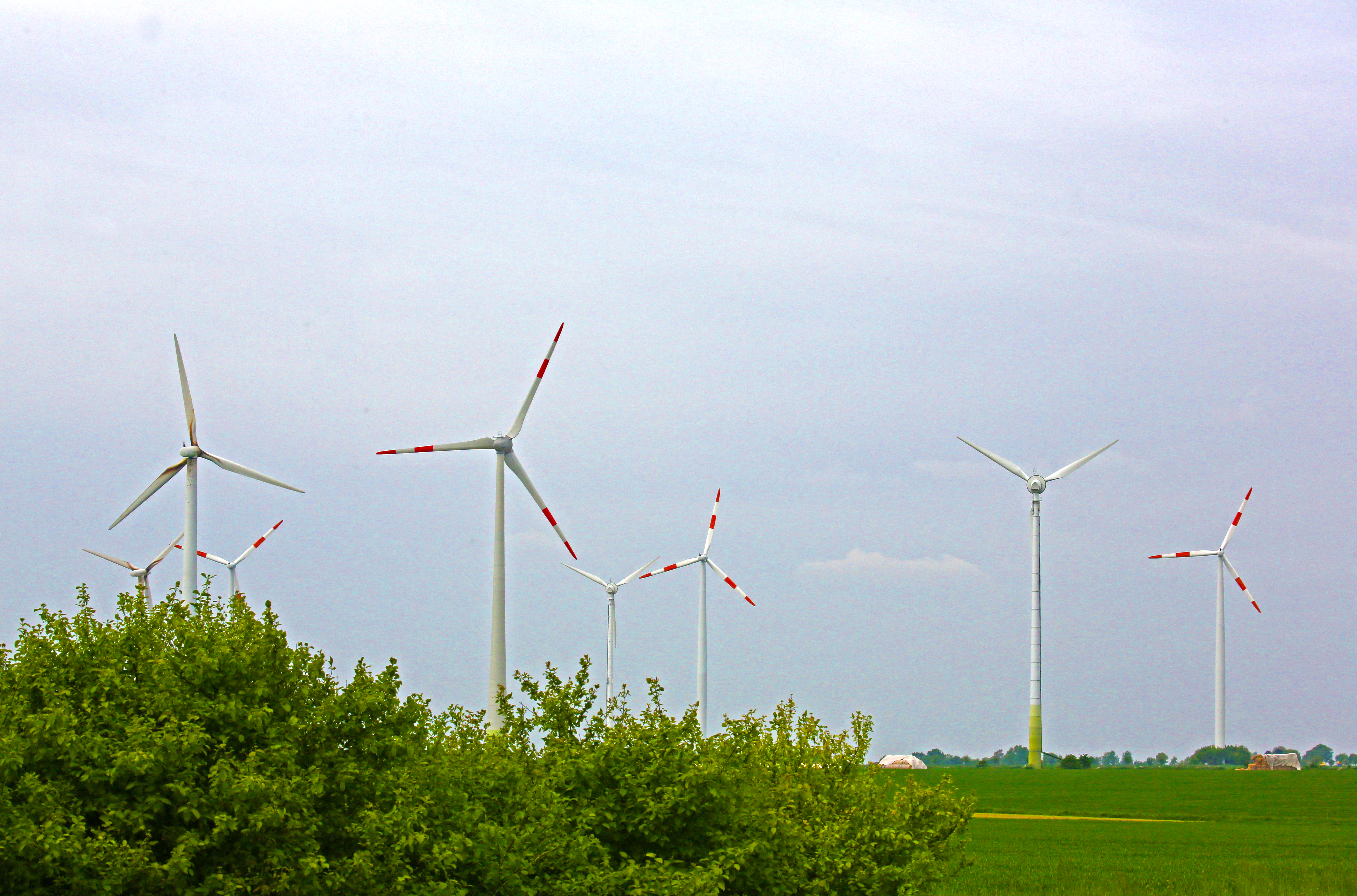 Windenergie: Fluch oder Segen?