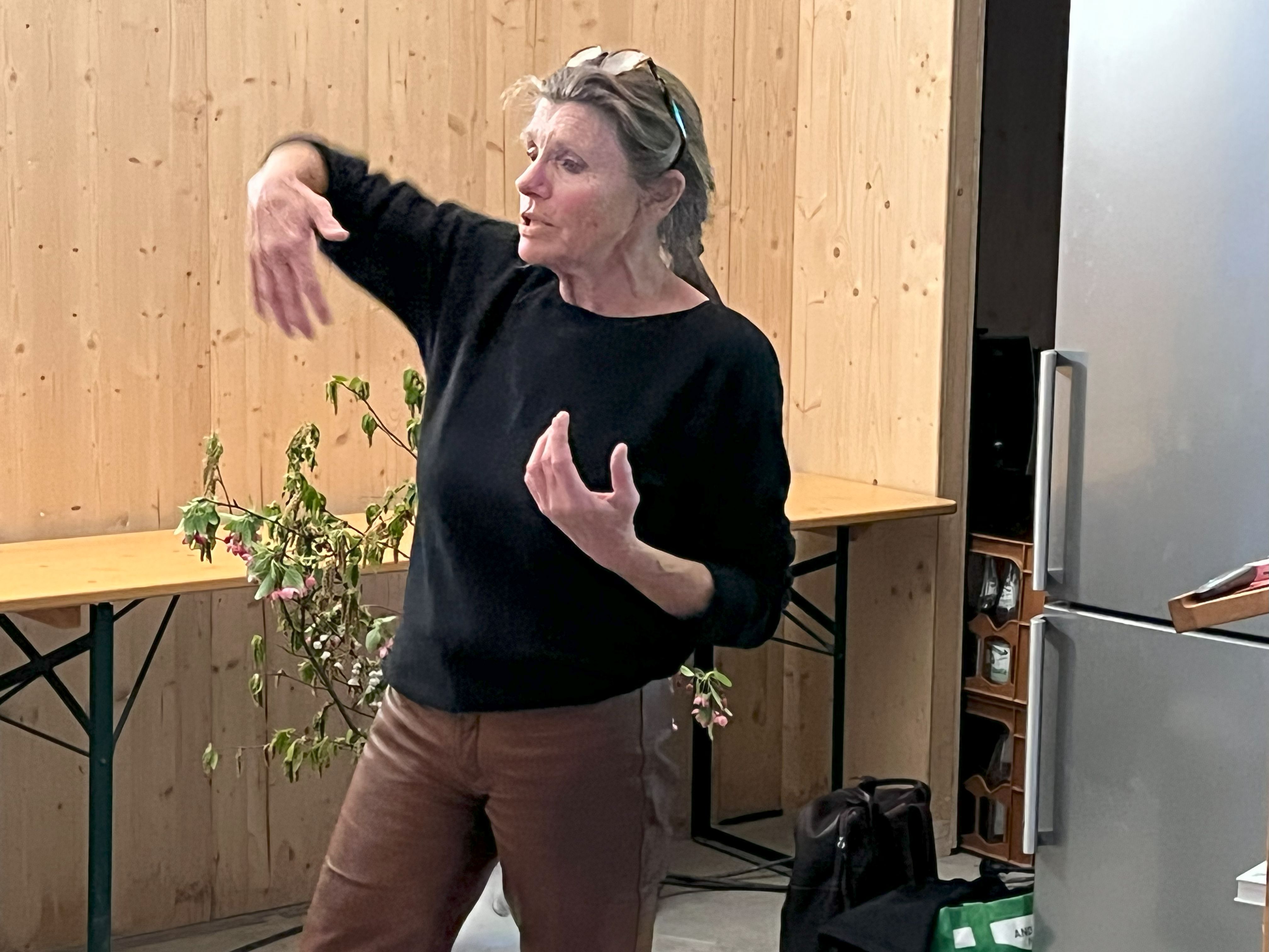 Die Kuh ist kein Klimakiller