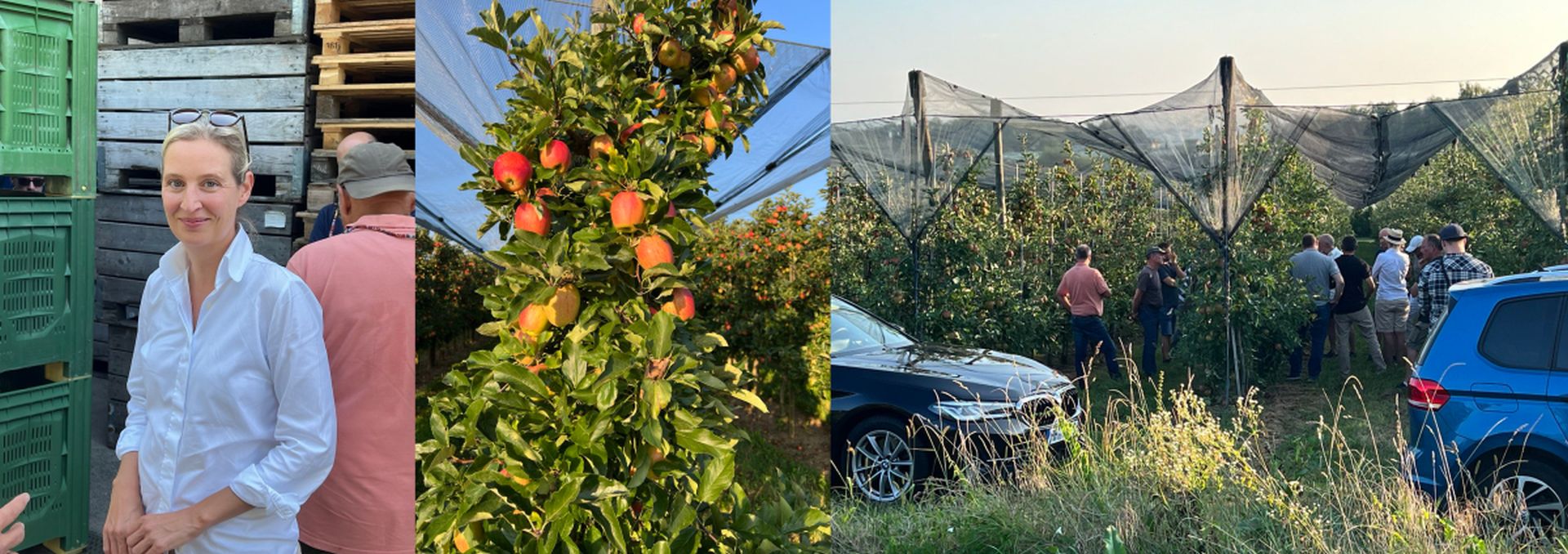 Die Klagen der Bauern. Alice Weidel bei den "Restgeldempfängern“.