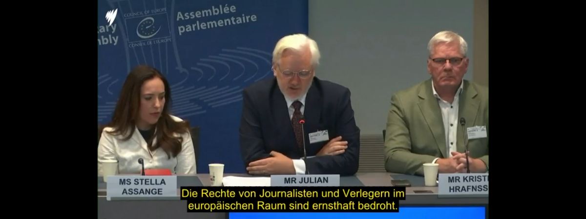 Journalist. Schuldig! Julian Assange im Europarat.