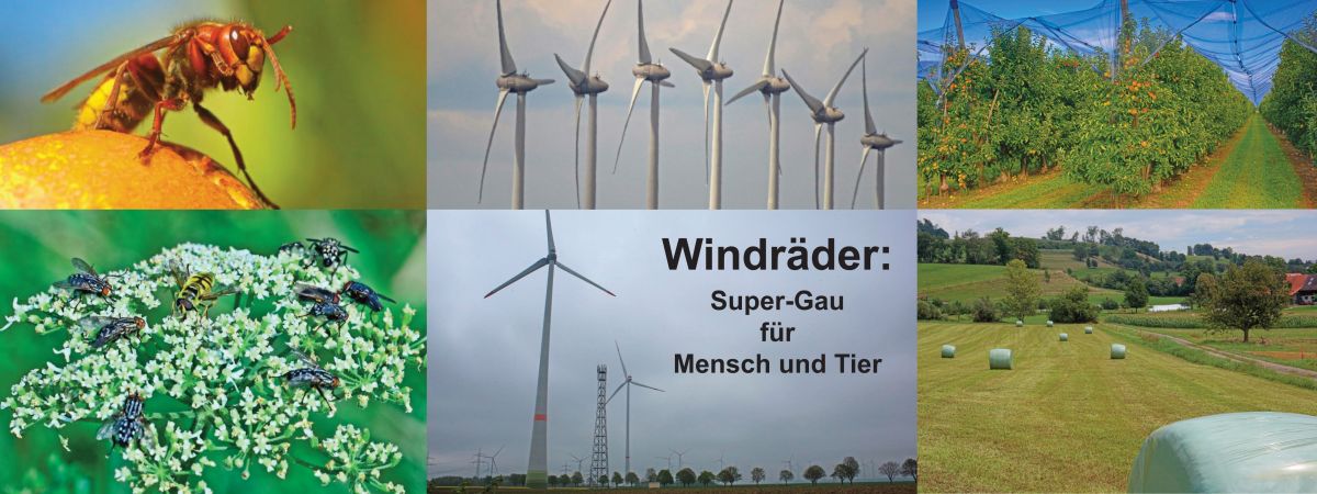 Windräder zerstören die Nahrungsgrundlagen von Mensch und Tier.
