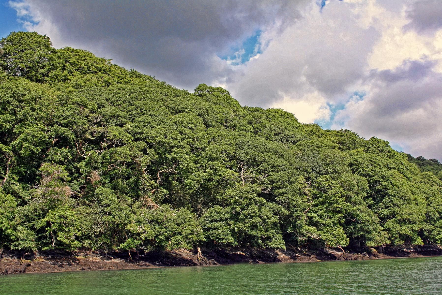 Kohlendioxid ist ein Garant des Lebens und Überlebens.