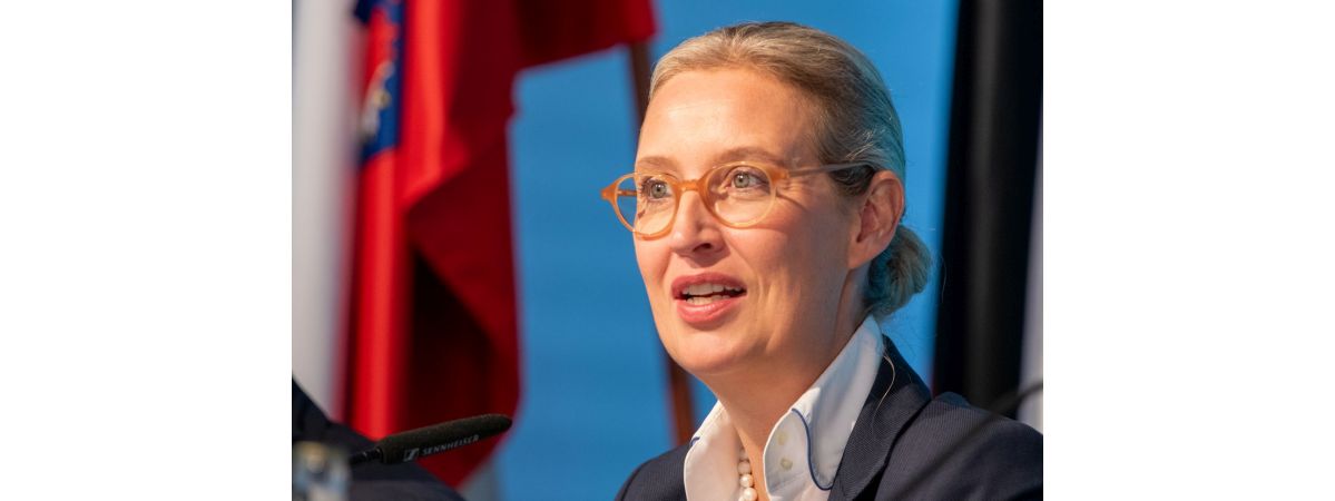 “Sie stellen die Brandmauer über Deutschland.” Alice Weidel im Bundestag.