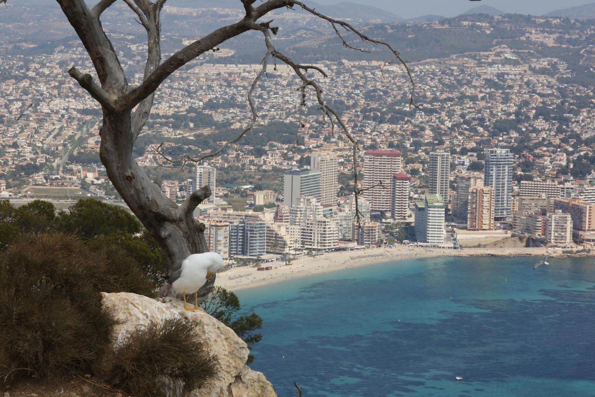 Der Mainstream verkündet 2024 als wärmstes Jahr. Eine freche Lüge?