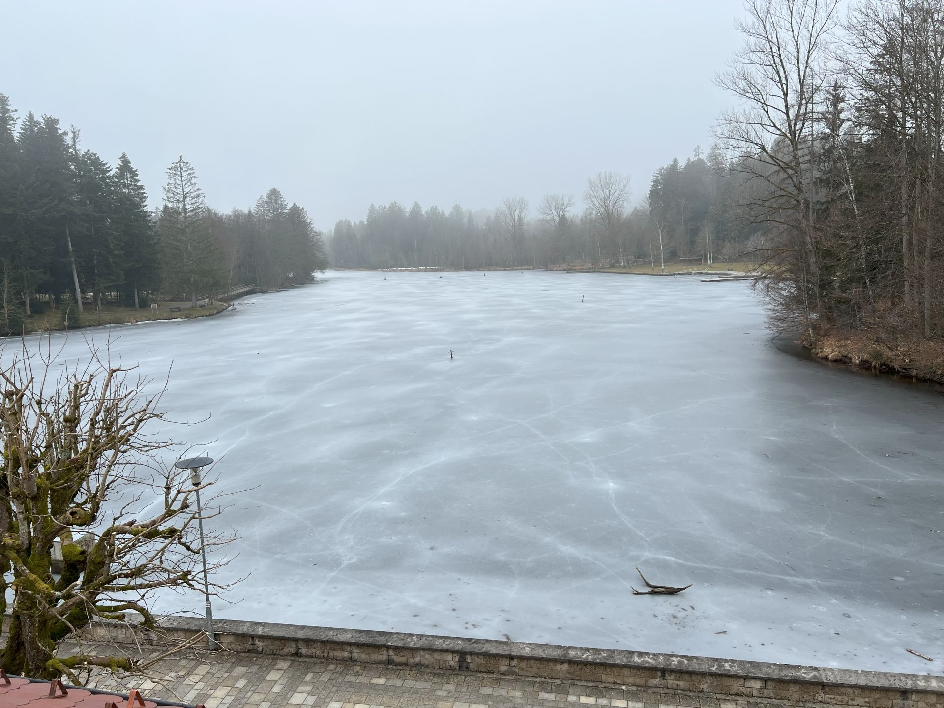 Wer schreit, ist im Unrecht!