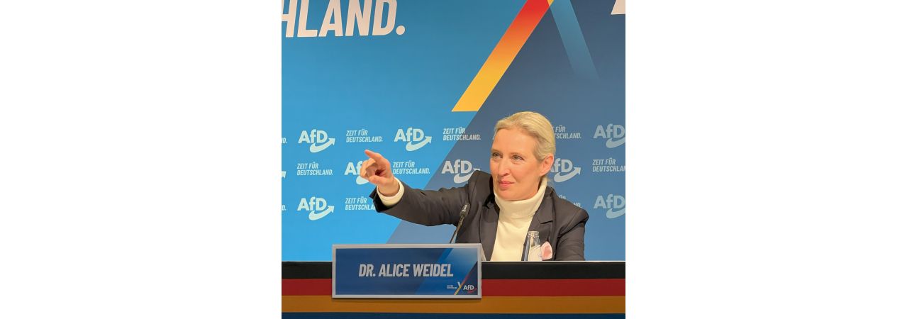 Spieglein, Spieglein an der Wand, wer ist am fiesesten zur AfD im ganzen Land?