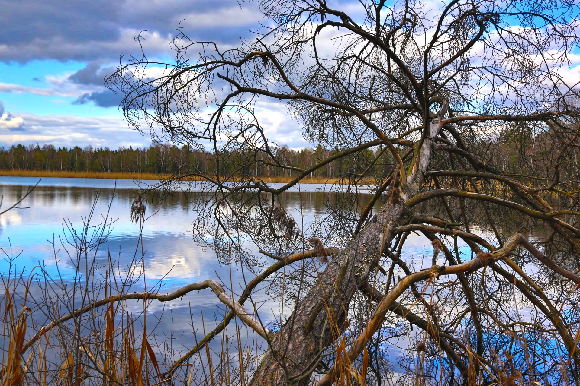 Baden-Württemberg sucht neues Biosphärengebiet. Die Bauern sind Spielball der Politik.