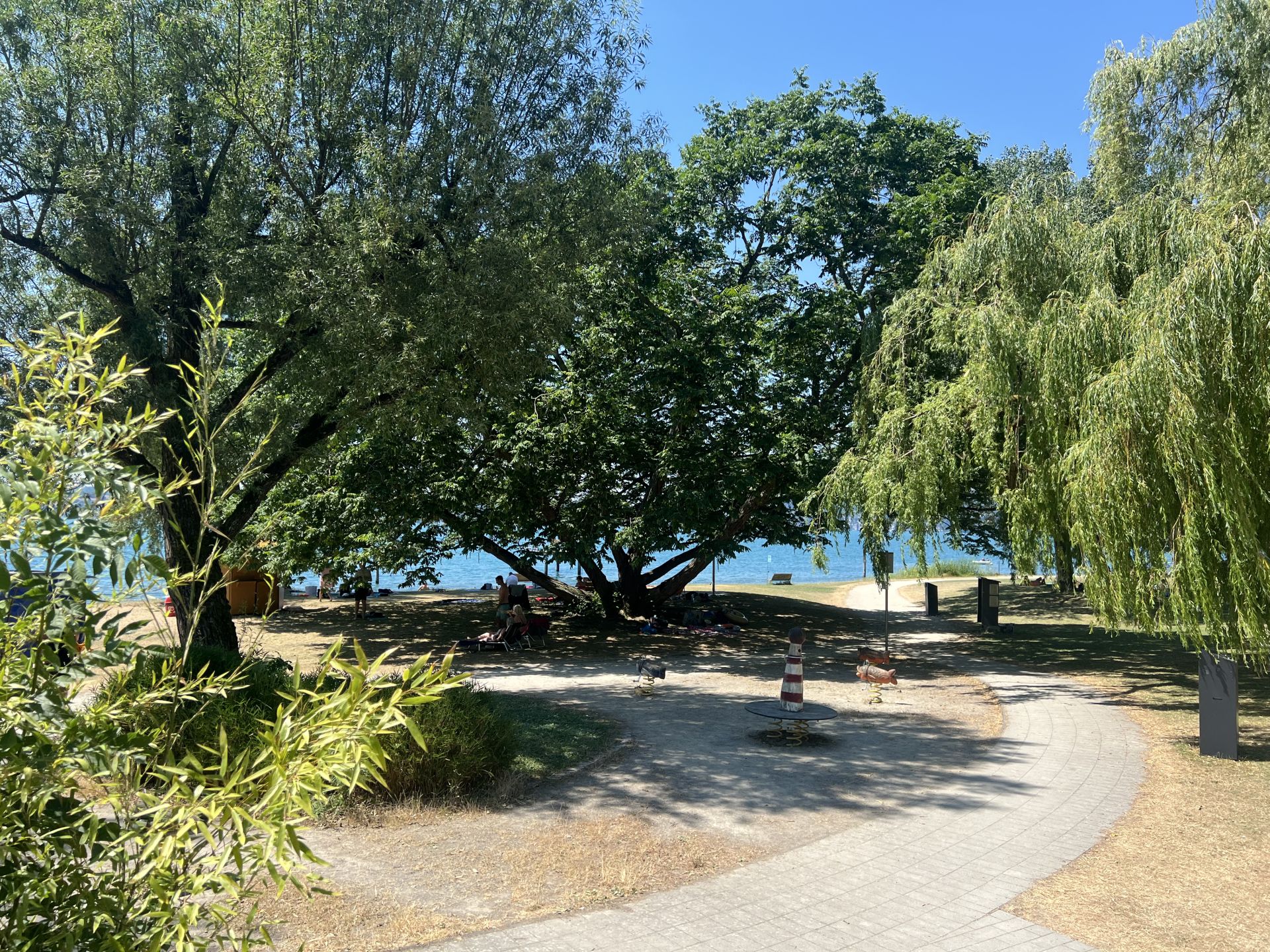 “Pflanzen sind keine alternative Medizin. Sie waren da, als Pharma noch nicht wusste, wie man Geld schreibt.”  Lacroix–Zitat