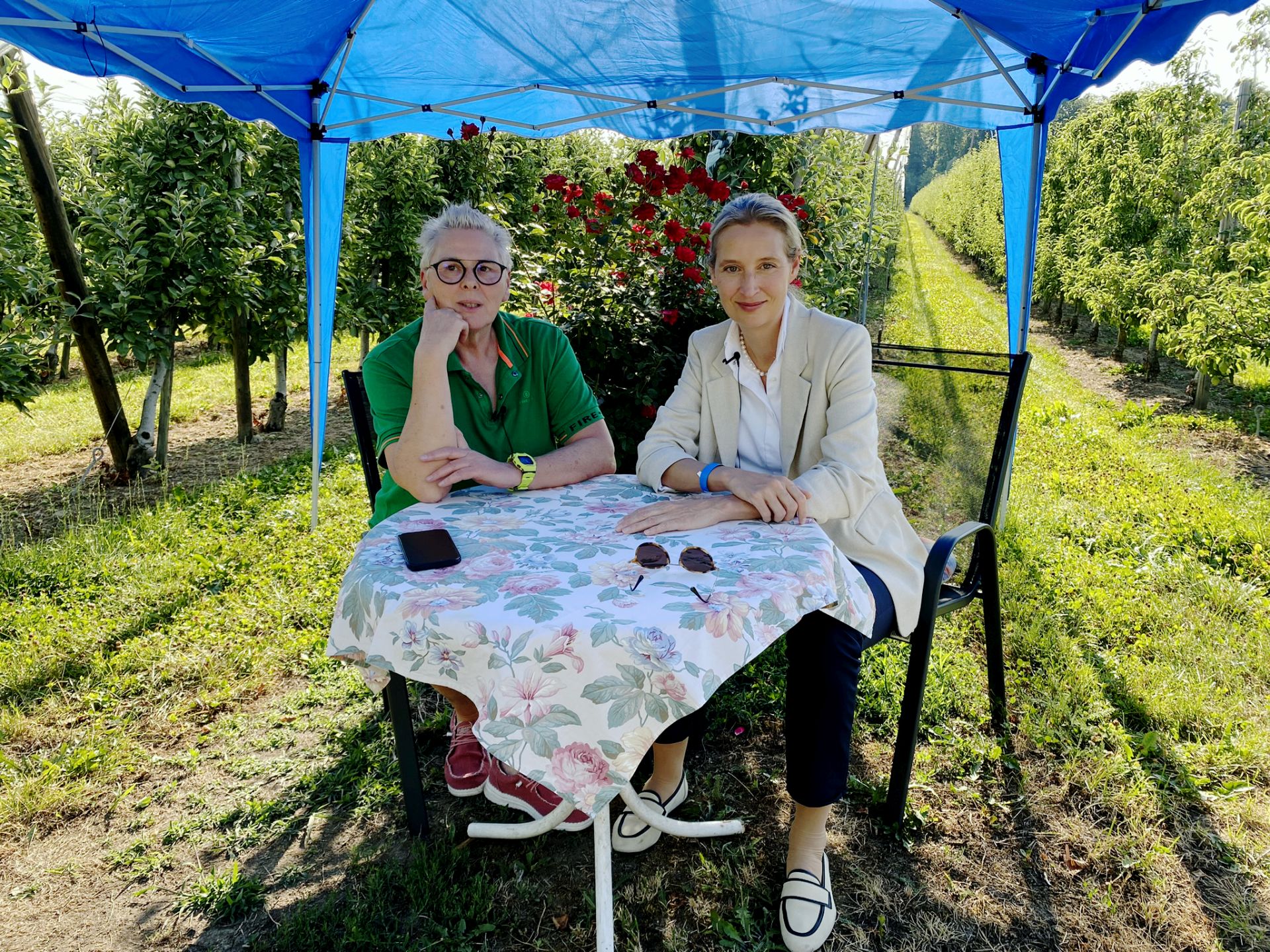 Alice Weidel:  Schuldenkanzler. Corona-Vertuscher. Nazi-Sprech-Richterin. SPD-Erpresser.
