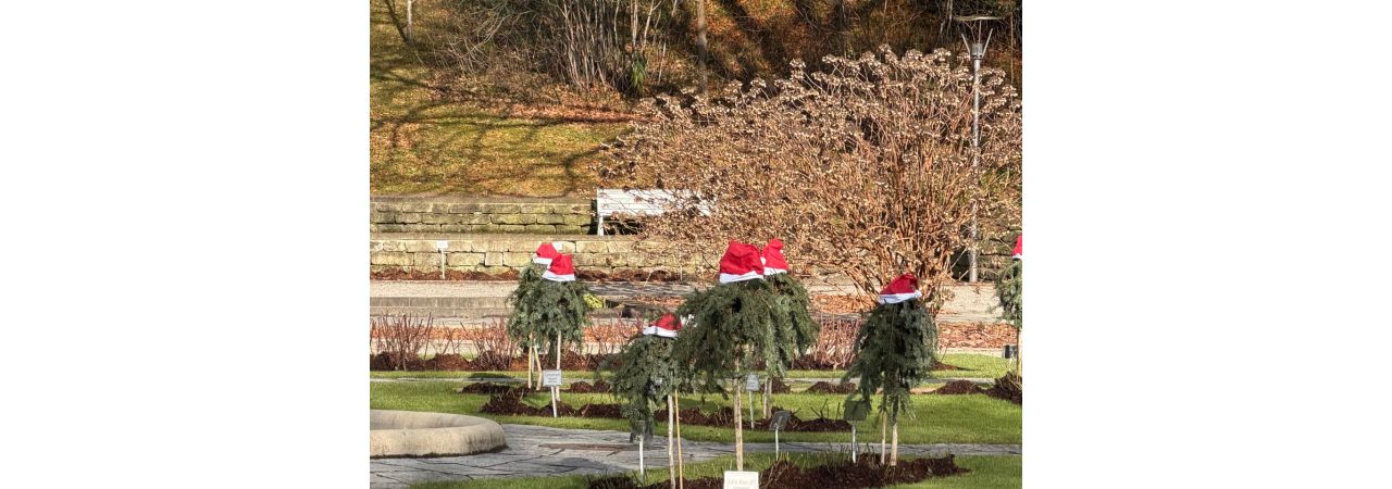 Ich mag Weihnachten.