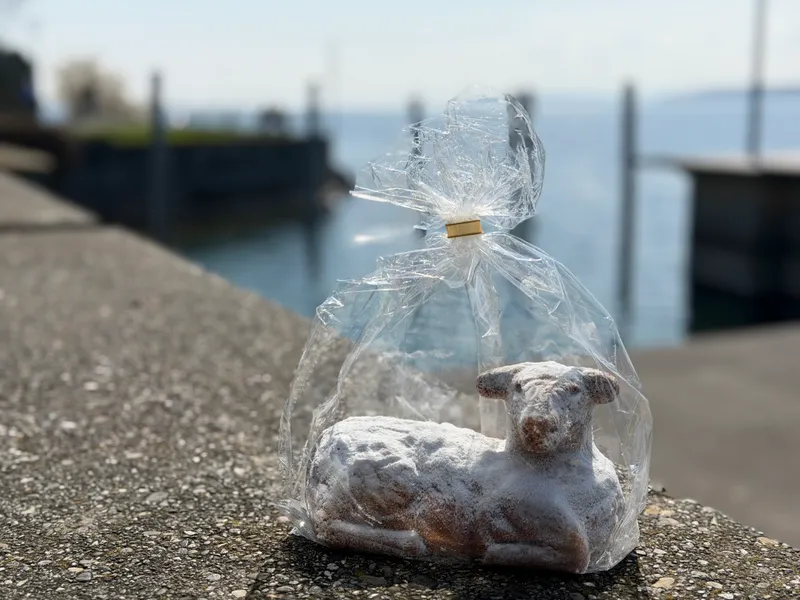 Die Welt, und was wir daraus machen.